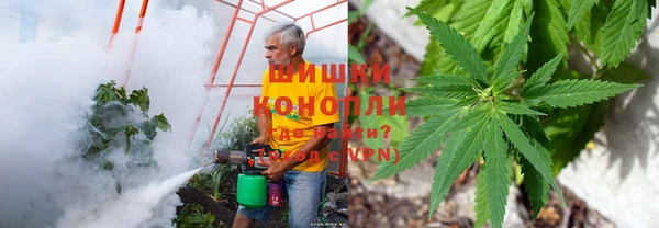 эйфоретик Гусь-Хрустальный