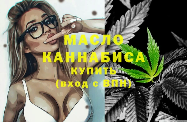 эйфоретик Гусь-Хрустальный