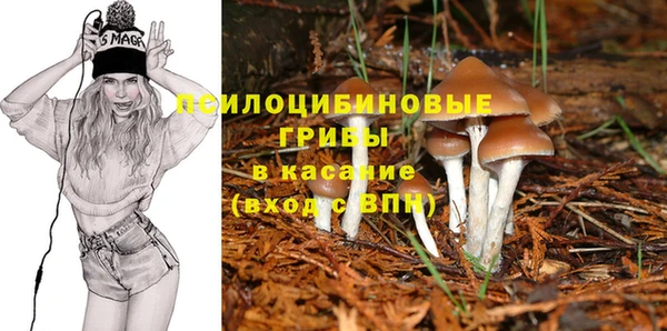 эйфоретик Гусь-Хрустальный