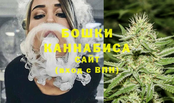 эйфоретик Гусь-Хрустальный