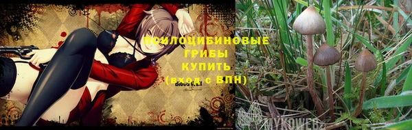 MDMA Дмитриев