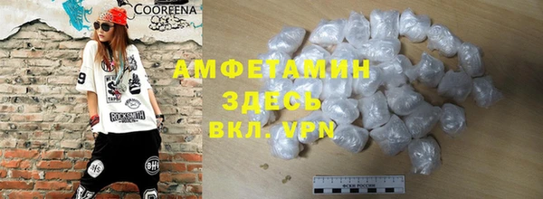 амф Дмитров