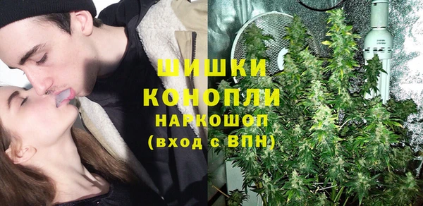 амф Дмитров